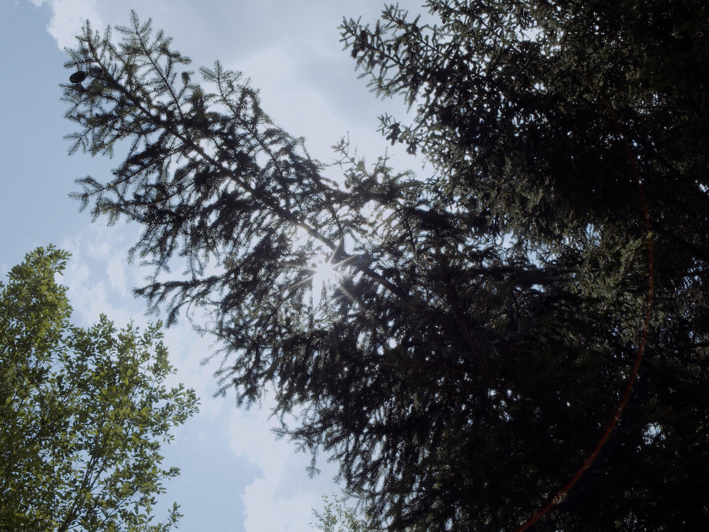 Untitled Untitled