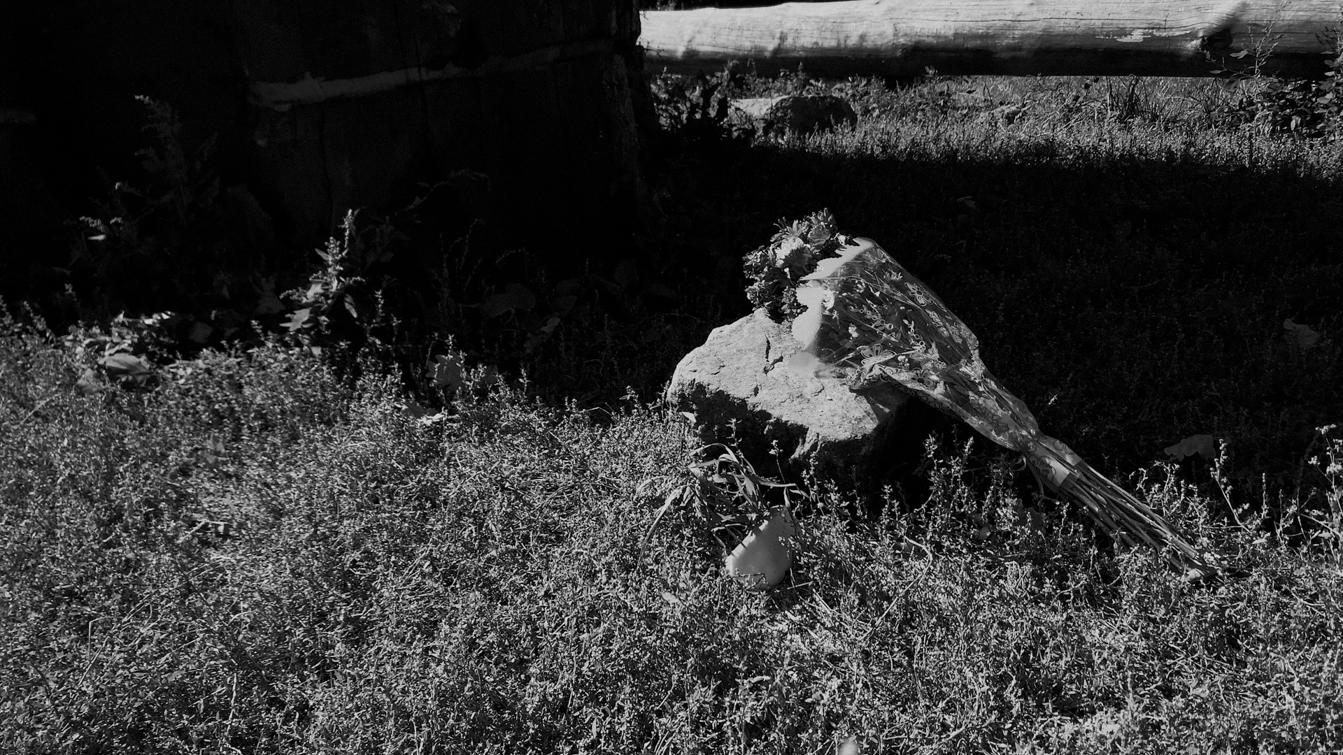 Untitled Untitled